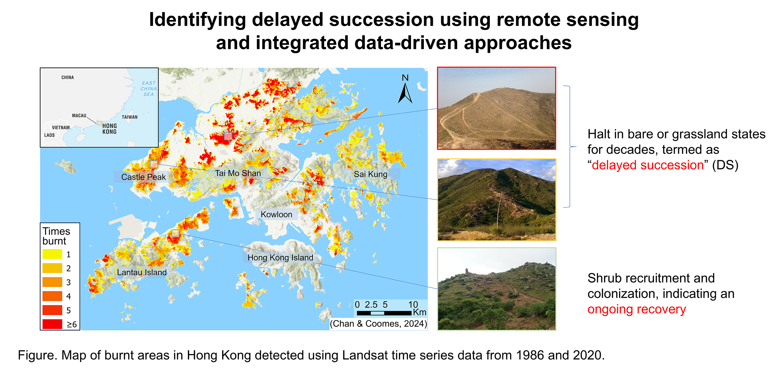 Delayed Succession Research
